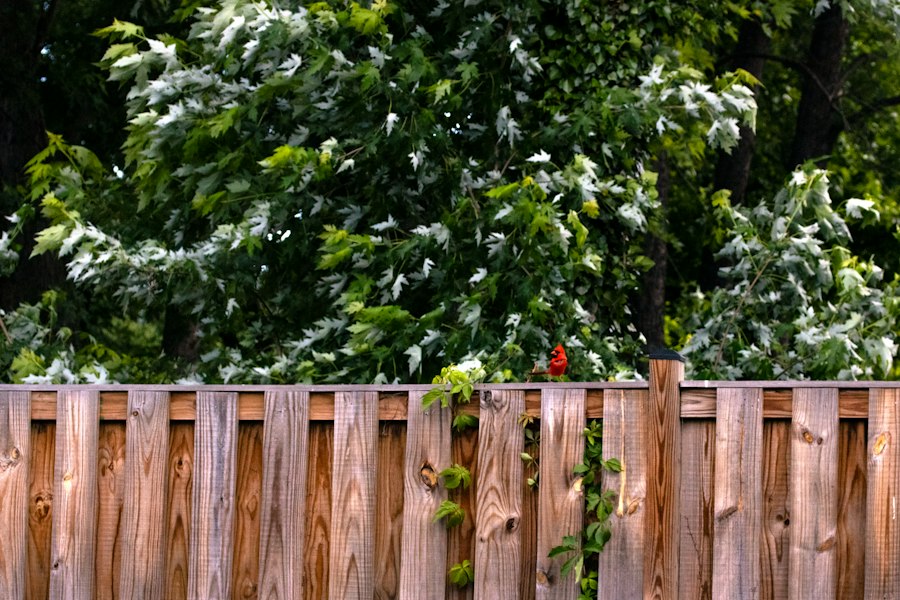 Horizontal wood privacy fence
